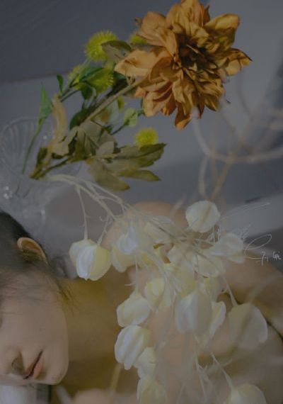 少年包青天第二部免费下载_超清免费在线观看